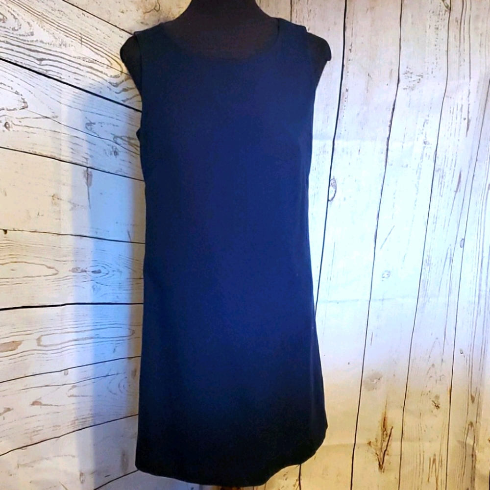 The Gap Brenda shift dress True Indigo X Small